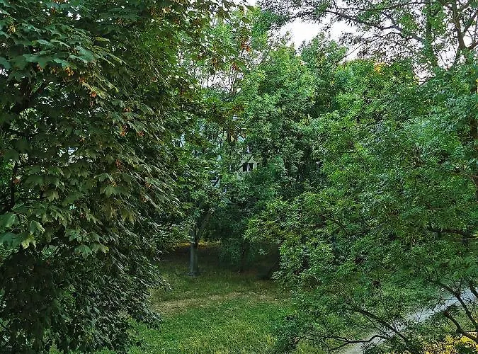 Apartment Nowoczesny W Sercu Wroclawia *